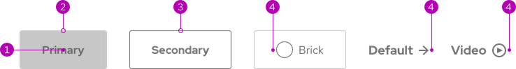 Anatomy image showing calls to action with various annotation numbers